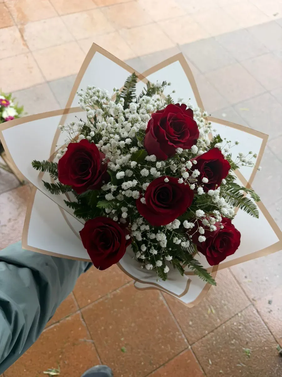 Ramo de seis rosas rojas con gypsophila y follaje verde